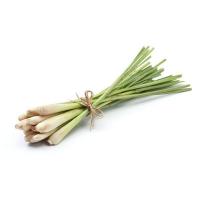 ราคา สดจากฟาร์ม ตะไคร้ สด สะอาด รับประกันคุณภาพ ราคาส่ง ราคาถูก (43478289649)