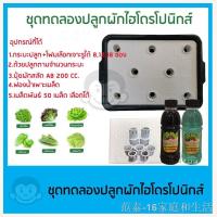 ราคา ▲ชุดทดลองปลูกผักไฮโดรโปนิกส์ ปลูกผักไร้ดิน 8 ช่อง 12 18 ช่อง(สำหรับมือใหม่) (11806313187)