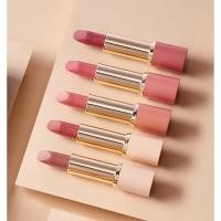 ราคา Espoir Nowear Colorful Nude Lipstick (6244984966)