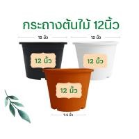 ราคา กระถางต้นไม้ 12 นิ้ว กระถางต้นไม้พลาสติก กระถาง สีดำ / สีขาว ราคาส่ง (15294378659)