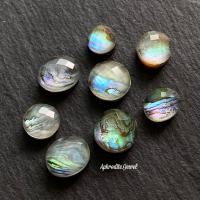 ราคา หอยเป๋าฮื้อ Abalone shell (44752170887)
