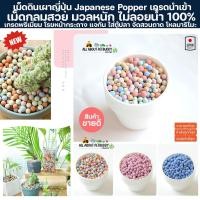 ราคา เม็ดดินเผาญี่ปุ่น เกรดพรีเมี่ยม ปูพื้นตู้ปลา โหลมาริโมะ จัดสวนถาด จัดใส่แจกัน หินโรยหน้า เม็ดดินเผา มวลหนัก จมน้ำ Popper (25805895634)