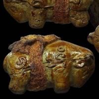 ราคา วัวธนู ไจยะเบ็งจร (2015587524)