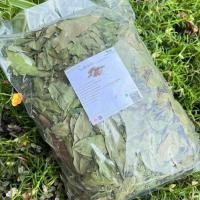 ราคา ใบขี้เหล็ก ใบขี้เหล็กอบแห้ง 100 กรัม ช่วยขับระดูขาว ช่วยระบายแก้ท้องผูก ลดอาการนอนไม่หลับ (22040820862)