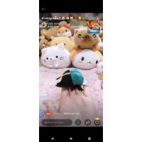 ราคา ค่าสินค้า ด้วงน้อย อมูส (9327406660)