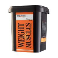 ราคา OCEANKISS WEIGHT & MUSCLES รสแซลมอนรมควัน ขนาดใหญ่ เพิ่มน้ำหนัก ช่วยเจริญอาหาร (1584626790)
