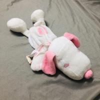 ราคา กระเป๋าดินสอสนูปปี้ snoopy กล่องดินสอsnoopy (3852489016)