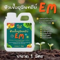 ราคา EM หัวเชืัอจุลินทรีย์ธรรมชาติเข้มข้น 100% EM ดับกลิ่นท่อ ส้วม กลิ่นเหม็น ใช้ย่อยสลาย หมักปุ๋ย บำบัดน้ำ ขนาด 1 ลิตร (57854293481)