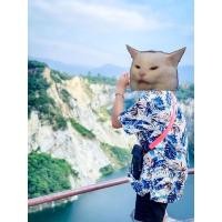 ราคา เสื้อฮาวายแบรนด์ Mc Jeans แท้% มือสอง (19031100991)