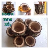 ราคา กระถางไม้ ขนาด3" กระถางแคคตัส กระบองเพชร ไม้อวบน้ำกระถางไม้ธรรมชาติ กระถางปลูกต้นไม้ดอกไม้ ใส่สิ่งของ เพื่อประดับตกแต่ง (7959180524)