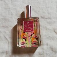 ราคา น้ำหอม cute press Cara Lily EDT (1344042480)