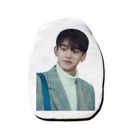 ราคา หมอนไดคัท สั่งทำ ตุ๊กตา แฟนเมด fanmade ตุ๊กตาหน้าเหมือน หมอนตุ๊กตา Lucas ลูคัส NCT (10066752893)