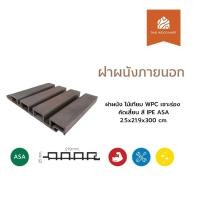 ราคา ฝาผนังภายนอก ไม้เทียม WPC เซาะร่อง คัดเสี้ยน สี IPE ASA 2.5x21.9x300 (cm) -Thaiwoodmart (42805901620)