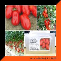 ราคา มะเขือเทศซาน มาซาโน่ - San Marzano tomato บรรจุ 50 เมล็ด คุณภาพดี ราคาถูก ของแท้ 100% (168391410)