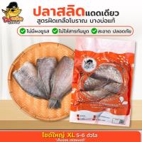 ราคา ต้นตำรับสูตรผัดเกลือโบราณ 70 ปี ปลาสลิดแดดเดียวบางบ่อ เนื้อแน่น เค็มน้อย สะอาด อร่อย 5-6 ตัวโล) (4451094411)