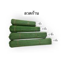 ราคา (แบ่งขาย 20 ก้าน) ก้านต้น ก้านกุหลาบ ขนาด 5 มิล ความยาว 8,10,12,14 นิ้ว (28562600847)