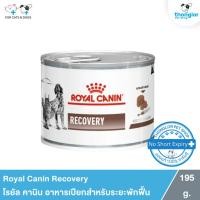 ราคา Royal Canin Recovery - โรยัล คานิน อาหารเปียกสำหรับสุนัขและแมวป่วย ระยะพักฟื้น (195g.) (6432852314)