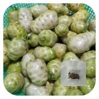ราคา เมล็ดพันธ์ุลูกยอใบยอ(200เมล็ด) (3493815056)