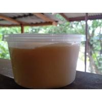 ราคา น้ำตาลมะพร้าวอัมพวาแท้จากเตาตาลอัมพวา (4847150335)