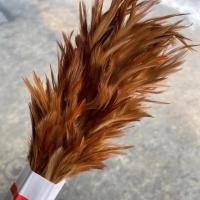 ราคา ไม้ขนไก่ ไม้ปัดฝุ่นขนไก่ (6416595432)