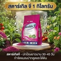 ราคา [1kg] สตาร์เกิลจี (Starkle G) สตาเกิลจี สตาร์เกิล จี สตาเกิล จี สารกำจัดแมลงชนิดดูดซึมเข้าทางระบบราก 1กิโลกรัม (5841714843)