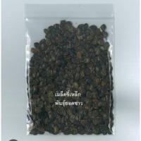 ราคา เมล็ดพันธุ์ขี้เหล็กขาวบรรจุ100เมล็ด (26428967858)