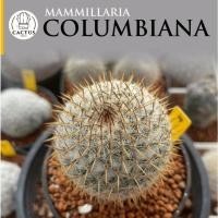 ราคา Mammillaria Columbianaแมมโคลัมเบียน่าไม้เมล็ดกระถ่าง 3 นิ้ว (42776021620)