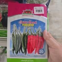 ราคา เมล็ดพริก อัมพวา โกลด์ 20 กรัม พริกขี้หนู ตรา ตะวันต้นกล้า (48554145598)