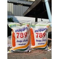 ราคา เมล็ดพันธุ์ข้าวโพดเลี้ยงสัตว์แปซิฟิค789 ถุง5กิโล อัตราการงอก90% (28372718234)