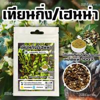 ราคา เทียนกิ่งเฮนน่า ย้อมผม-เพ้นลาย 150-200เมล็ด โปรโมชั่น [ซื้อ 2แถม 1ซอง] /// SBfarm (42311224340)