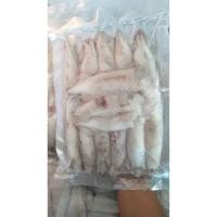 ราคา ปลาหมึกไข่แดดเดียว ไข่แน่นๆ (8226862698)