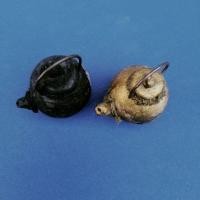 ราคา กาน้ำ หลวงปู่ดู่ วัดสะแก (5715484591)