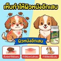 ราคา ผงทศกัณฑ์กำจัดเห็บหมัด แป้งผงกำจัดเห็บหมัด ผงกำจัดเห็บหมัด สำหรับน้องหมาและน้องแมว กำจัดตัวเบียน เช่น เห็บ หมัด (43077078109)