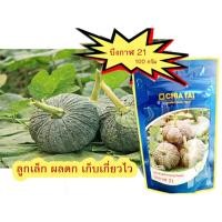 ราคา เมล็ดฟักทองบึงกาฬ21 (100กรัม) เมล็ดพันธุ์ฟักทอง เมล็ดฟักทอง ผลดก ตราเจียไต๋ (8532014610)