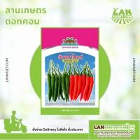 ราคา พริกขี้หนูลูกผสม อัมพวาโกลด์ (50กรัม) (40678792433)