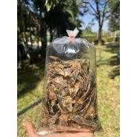 ราคา หอยเสียบแห้ง เพชรบุรี (19670458104)