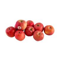 ราคา ส่งพรุ่งนี้ แอปเปิ้ลแดงฟูจิ 1 กก./แพ็ค ออกใบกำกับภาษีได้ (28289446429)