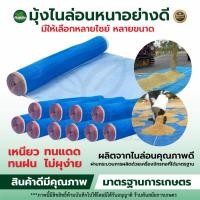 ราคา มุ้งฟ้า 16ตา ผ้าแยง มุ้งฟ้าไนล่อน มุ้งไนล่อน ตาข่าย ผ้าแยง ผ้าแยงเขียว ผ้าลาน ตากข้าว มุ้งเขียว (3261195189)