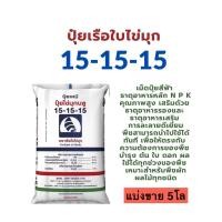 ราคา ปุ๋ย 15-15-15 เรือใบไข่มุกบลู แบ่งขาย 5โล (ใส่ถุงซิป) บำรุงต้น ใบ ดอก ผล เหมาะสำหรับพืชทุกช่วง และทุกชนิด (25246898240)