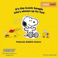 ราคา [Physical Card] Rabbit Card Snoopy บัตรแรบบิท สำหรับบุคคลทั่วไป (Rabbit Charm) (27939648743)
