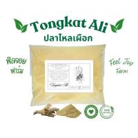 ราคา ปลาไหลเผือก ผงปลาไหลเผือก 100 กรัม Tongkat Ali 100 g (40965244287)