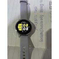 ราคา garmin venu 2s powder gray มือสอง (20061668765)