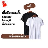 ราคา เสื้อยืดคอกลมแขนสั้น เสื้อยืดสีล้วน（สีดำ สีขาว） (22048122107)