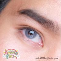 ราคา คอนแทคเลนส์Spatax Gray (Sweety Plus) ขนาดมินิ (3386629513)