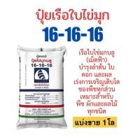 ราคา ปุ๋ยเรือใบไข่มุก16-16-16 แบ่งขาย1โล (บรรจุใส่ถุงซิป)เม็ดสีฟ้า บำรุงต้น ดอก ใบ เร่งการเจริญเติบโต ผลไม้ ต้นไม้ทุกชนิด (26767086445)