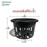 ราคา กระถางกล้วยไม้ ขนาด 8 นิ้ว กระเช้ากล้วยไม้ กระเช้า กระถางพลาสติก ดำ เกรด A (10910810941)