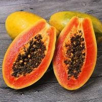 ราคา 15 เมล็ด เมล็ดมะละกอ สายพันธุ์ มะละกอเรดเลดี้ สวนครัว ปลูกผักปลอดสาร Papaya Fruit and Vegetable Seeds (41522655302)