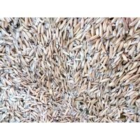 ราคา [ส่งเร็ว] ข้าวเปลือกไก่ ผสมข้าวกล้อง อาหารนก อาหารสัตว์เล็ก 1 กก. (57101552825)