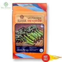 ราคา เมล็ดพันธุ์ คะน้าหวานเห็ดหอม ลำใหญ่ กรอบหวาน (25001969793)