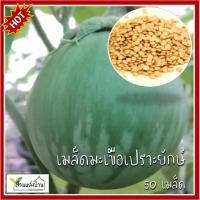 ราคา 50 เมล็ด มะเขือเปราะยักษ์ เมล็ดมะเขือยักษ์ มะเขือ เมล็ดมะเขือเปราะ (22376120699)